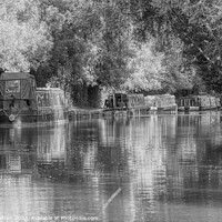 Buy canvas prints of Dreamy afternoon on the Canal 6 Black and White by Helkoryo Photography
