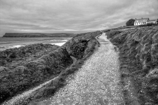 Daymer Bay Trebetherick towards Greenaway cove bw Picture Board by Helkoryo Photography