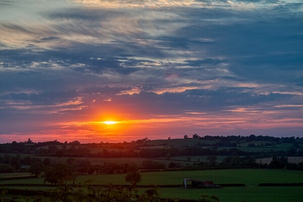 Sunset over Staverton Fields Picture Board by Helkoryo Photography