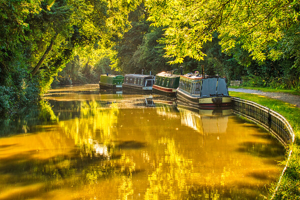 A sultry afternoon on the Canal Picture Board by Helkoryo Photography