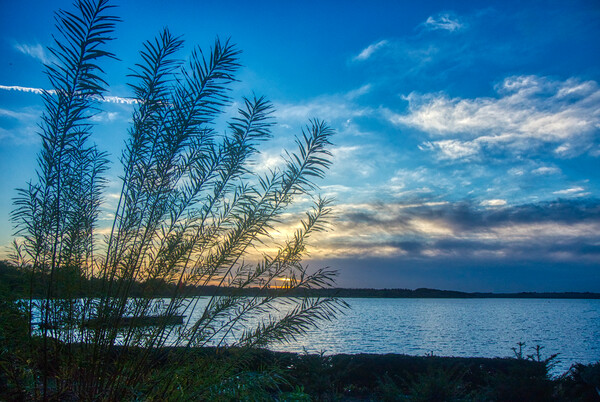 Sunset over Rutland Water Picture Board by Helkoryo Photography