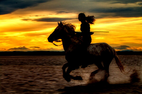 Girl Horse riding silhouetted against sunset Picture Board by Helkoryo Photography