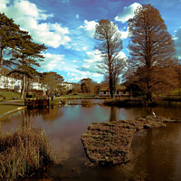Buy canvas prints of Alexandra Park Lake by Millie Bakewell