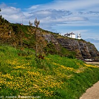 Buy canvas prints of Blackhead Lighthouse by Cecil Owens