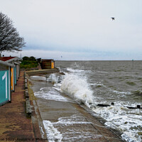 Buy canvas prints of East Beach at high tide, Shoeburyness, Essex. by Peter Bolton
