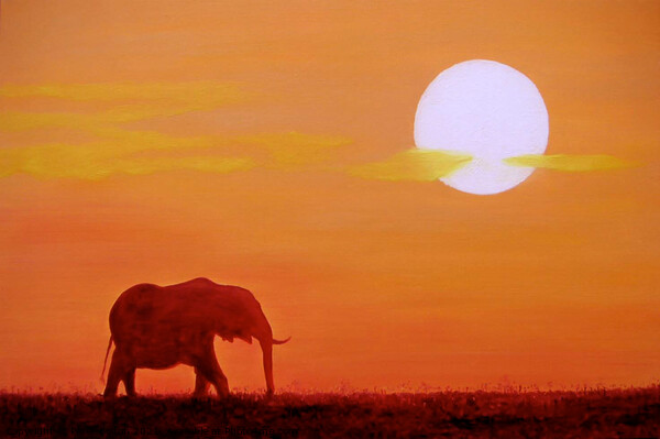 Painting by Peter Bolton, 2003. Elephant at sunset. Now available as prints. Picture Board by Peter Bolton