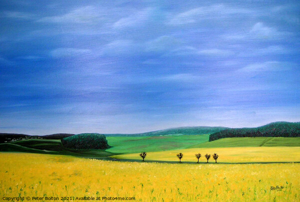 Fields of gold. Abstract view, oil painting by Peter Bolton, 2005. Picture Board by Peter Bolton
