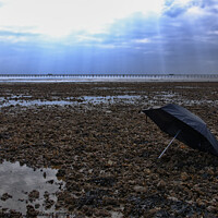 Buy canvas prints of Lonely Umbrella on Deserted Beach by Peter Bolton