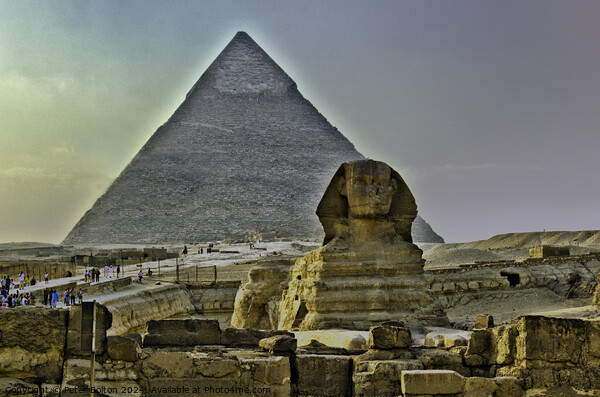 The sphinx at Giza, Egypt. Picture Board by Peter Bolton