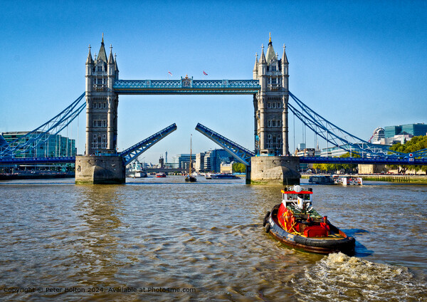 Tower Bridge Sailing Boat Picture Board by Peter Bolton