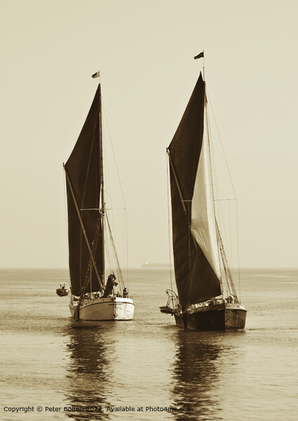 Sepia Thames Barges Southend Picture Board by Peter Bolton