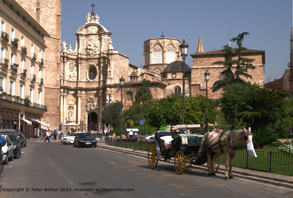 Street scene in Malaga, Spain, showing tourists and horse carriage waiting for customers. Picture Board by Peter Bolton