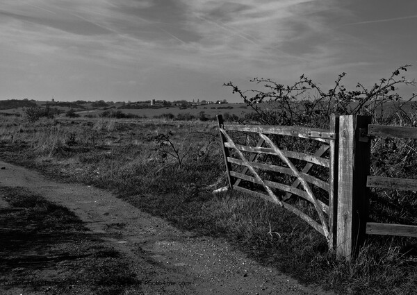 Monotone landscape at Two Tree Island, Essex. Hadliegh Castle visible on the horizon. Picture Board by Peter Bolton