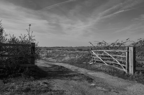 Monotone landscape at Two Tree Island, Essex. Picture Board by Peter Bolton