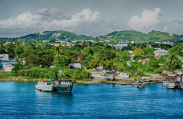 Boatyard near Kingstown, St Vincent and the Grenadines Picture Board by Peter Bolton
