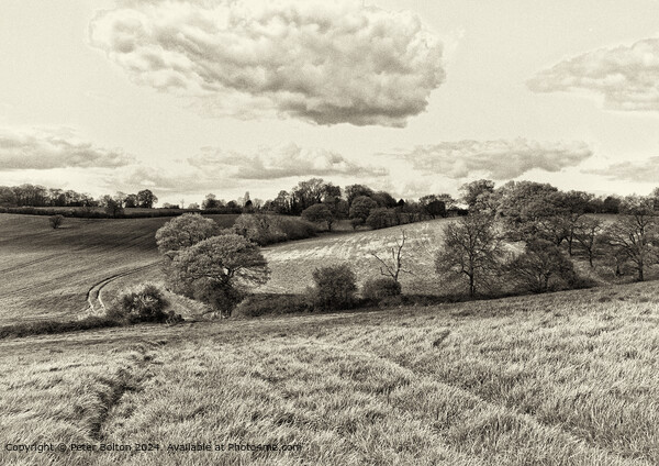 Rural landscape processed in vintage style at Downham, Essex. Picture Board by Peter Bolton