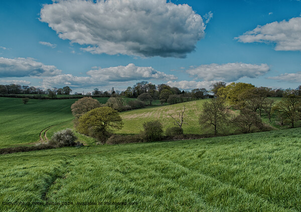 Rural landscape nr. Downham, Essex. Picture Board by Peter Bolton