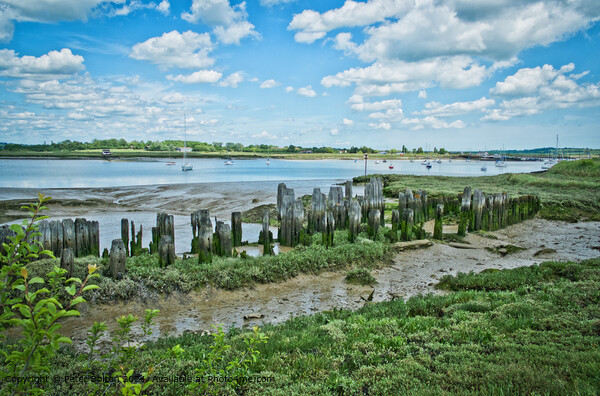 River Crouch Landing Stages Picture Board by Peter Bolton