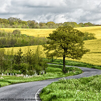 Buy canvas prints of Winding country road at The Hanningfields, Essex, UK by Peter Bolton