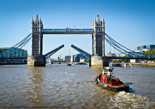 Tower Bridge on River Thames in London opens for a Picture Board by Peter Bolton
