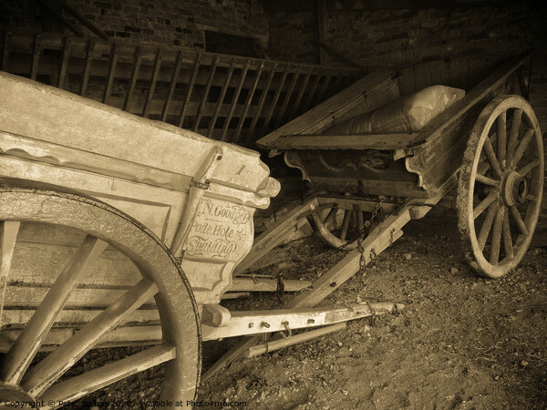 Victorian farm carts in a barn at Coggeshall, a village in Essex, UK Picture Board by Peter Bolton