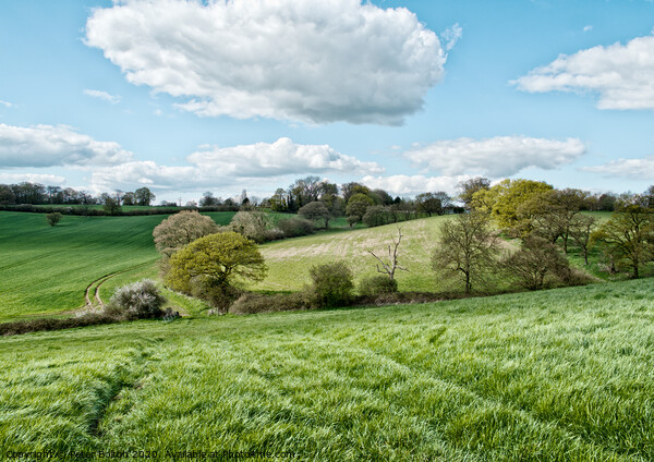 Fields in summer at Downham, Essex, UK. Picture Board by Peter Bolton