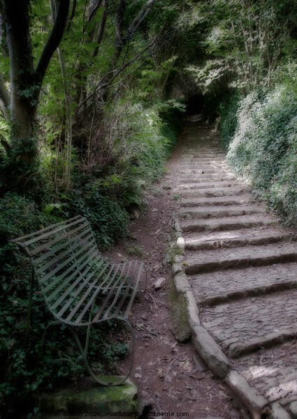 Secluded pathway and bench at Buckfastleigh, Devon, UK. Picture Board by Peter Bolton