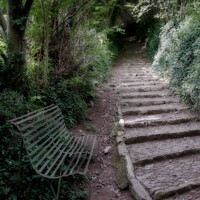 Buy canvas prints of Secluded pathway and bench at Buckfastleigh, Devon, UK. by Peter Bolton