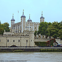 Buy canvas prints of Tower of London viewed from the River Thames. by Peter Bolton