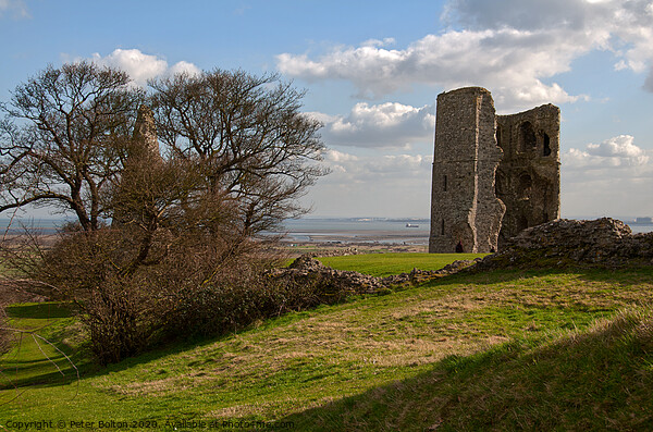 Hadleigh Castle ruins looking towards the River Thames, Essex, UK. Picture Board by Peter Bolton