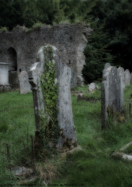 Tombstones in a disused graveyard at Buckfastleigh, Devon, UK Picture Board by Peter Bolton
