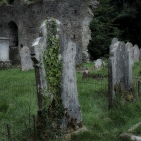Buy canvas prints of Tombstones in a disused graveyard at Buckfastleigh, Devon, UK by Peter Bolton