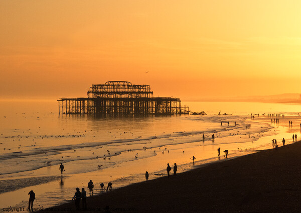  The West Pier, Brighton, Sussex, UK. Picture Board by Peter Bolton