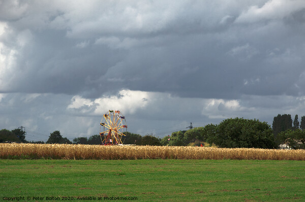 Ferris wheel at a country show viewed from across a wheat field. Damyns Hall Aerodrome, Essex, UK. Picture Board by Peter Bolton
