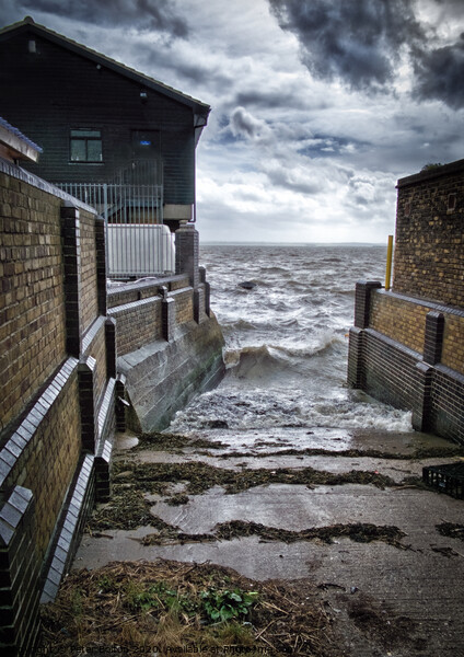 Slipway at Old Leigh fishing village, Essex, Uk. Picture Board by Peter Bolton