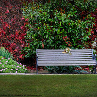 Buy canvas prints of 'Remembrance' , memorial seat. by Peter Bolton