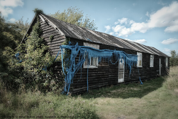 WWII abandoned barrack hut on the shore of the River Blackwater at Bradwell, Essex Picture Board by Peter Bolton