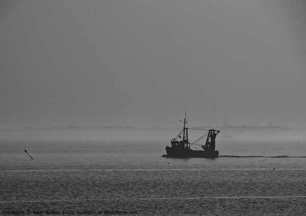 A fishing boat in early morning heading downriver on The River Thames. Picture Board by Peter Bolton
