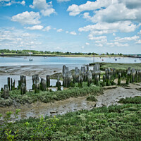 Buy canvas prints of Ancient remains of fishing traps and a jetty at Fambridge on the River Crouch, Essex, UK.  by Peter Bolton