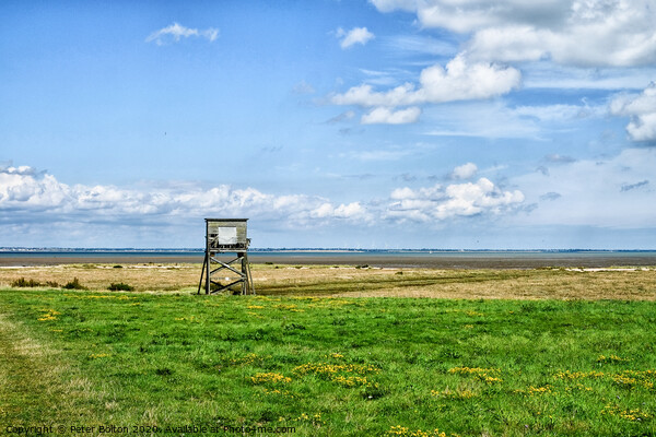Landscape view of costal nature reserve at Bradwell, Essex on the shore of the River Blackwater Picture Board by Peter Bolton