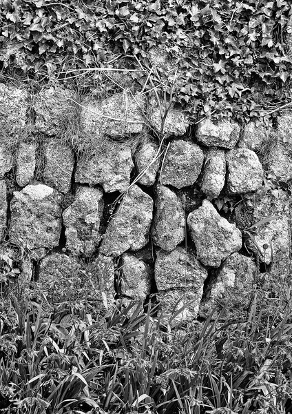 Black and white photo art of a section of a dry stone wall at Lands End, Cornwall. Picture Board by Peter Bolton