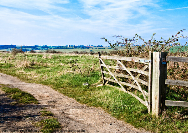 A view through a farm gate at Two Tree Island, with Hadleigh Castle on the horizon. Essex, UK.  Picture Board by Peter Bolton