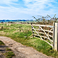 Buy canvas prints of A view through a farm gate at Two Tree Island, with Hadleigh Castle on the horizon. Essex, UK.  by Peter Bolton