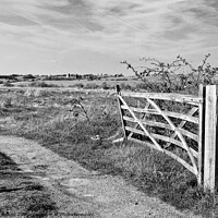 Buy canvas prints of A view through a farm gate in black and white at Two Tree Island, with Hadleigh Castle on the horizon. Essex, UK.  by Peter Bolton