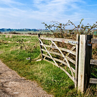 Buy canvas prints of A view through a farm gate at Two Tree Island, with Hadleigh Castle on the horizon. Essex, UK.  by Peter Bolton