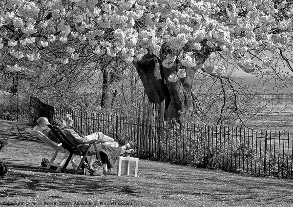Couple chilling out on recliners on the slopes at Westcliff on Sea, Essex. Picture Board by Peter Bolton