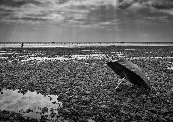 'After the rain'.   Picture Board by Peter Bolton