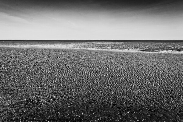 'Abstract in nature' The Thames Estuary at low tide, Shoeburyness, Essex, UK. Picture Board by Peter Bolton