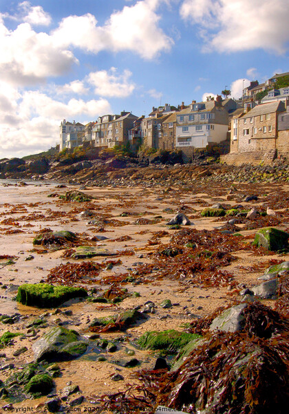 'Harbour Beach' St. Ives, Cornwall, UK Picture Board by Peter Bolton