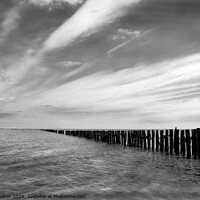 Buy canvas prints of Remains of an ancient fish trap on the River Blackwater at Bradwell, Essex, UK. by Peter Bolton